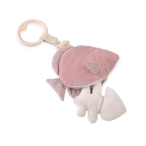 Angel Fish