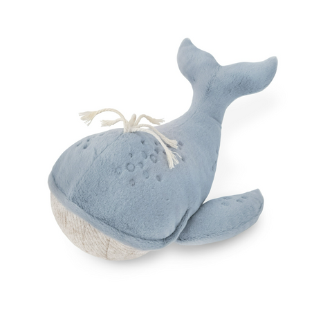 Wally Whale