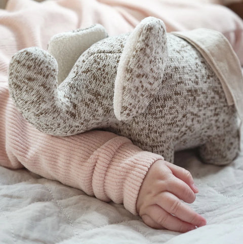 Noa Musical Elephant