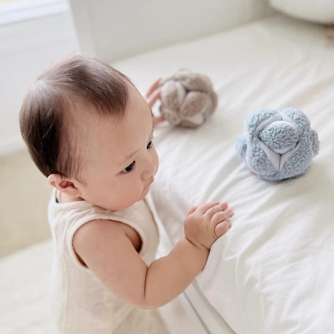Monti Montessori Puzzle Ball